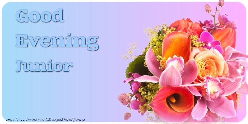 Greetings Cards for Good evening - Flowers | Good Evening Junior